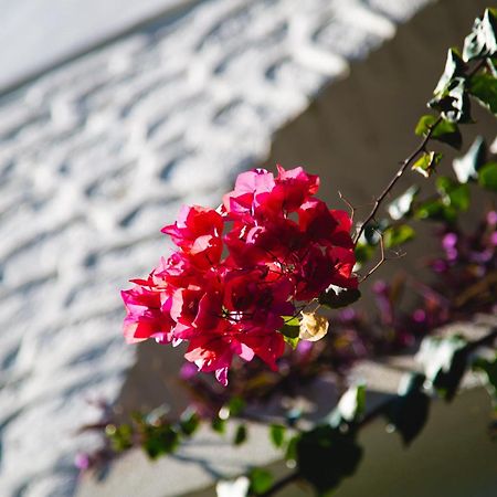 Hotel Karia Princess Bodrum Kültér fotó