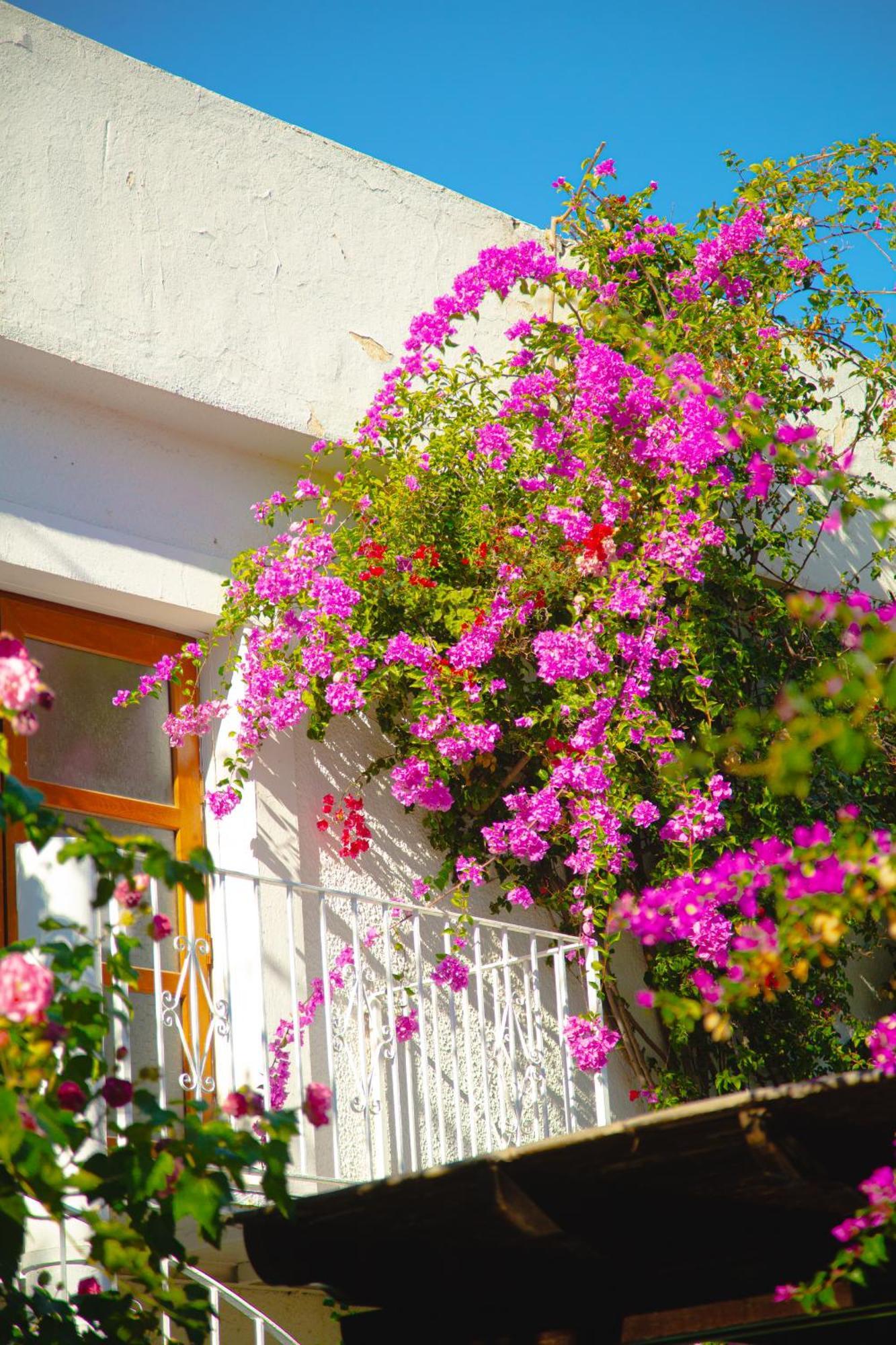 Hotel Karia Princess Bodrum Kültér fotó